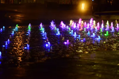 DSC_0720 (Large).JPG